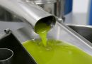 La producción de aceite de oliva suma 830.000 toneladas pero si el tiempo no acompaña «nos podemos quedar sin aceite a finales de campaña»