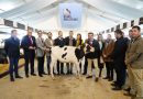Dos Torres comienza con su apoyo al mundo rural con La Feria de Usías Holstein