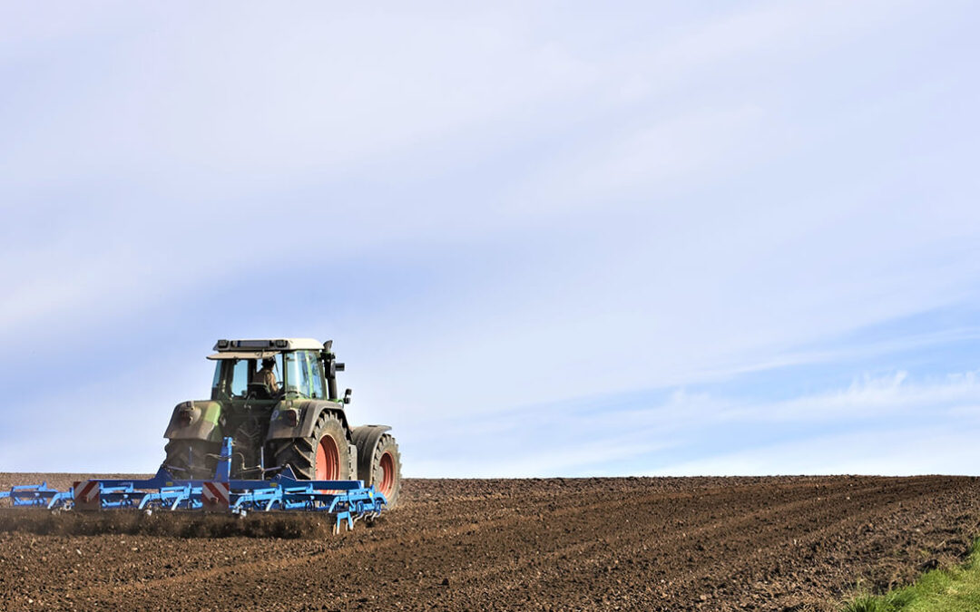 Castilla-La Mancha y Andalucía se unen para pedir al Gobierno que rechace el marco financiero de la CE y el sector pide devolver la PAC al corral