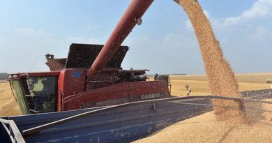 Andalucía es la primera comunidad autónoma en aprobar la flexibilización de los ecoesquemas de la PAC